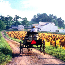Amish