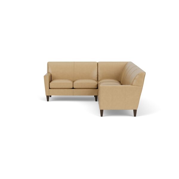Digby Sectional - Image 3