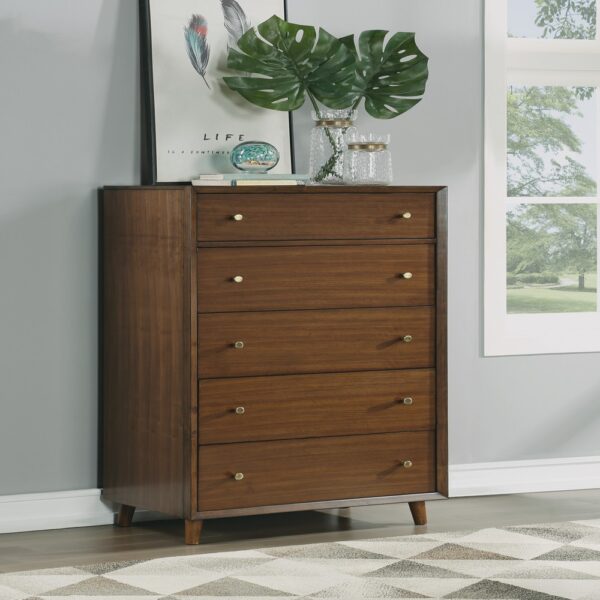 Ludwig Drawer Chest - Image 2