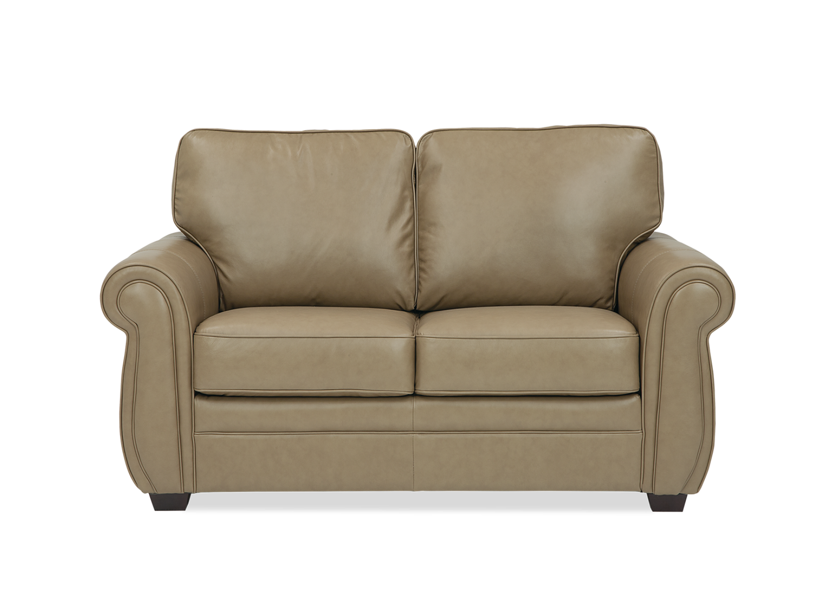 viceroy_loveseats - Front View - Palliser - March 2025
